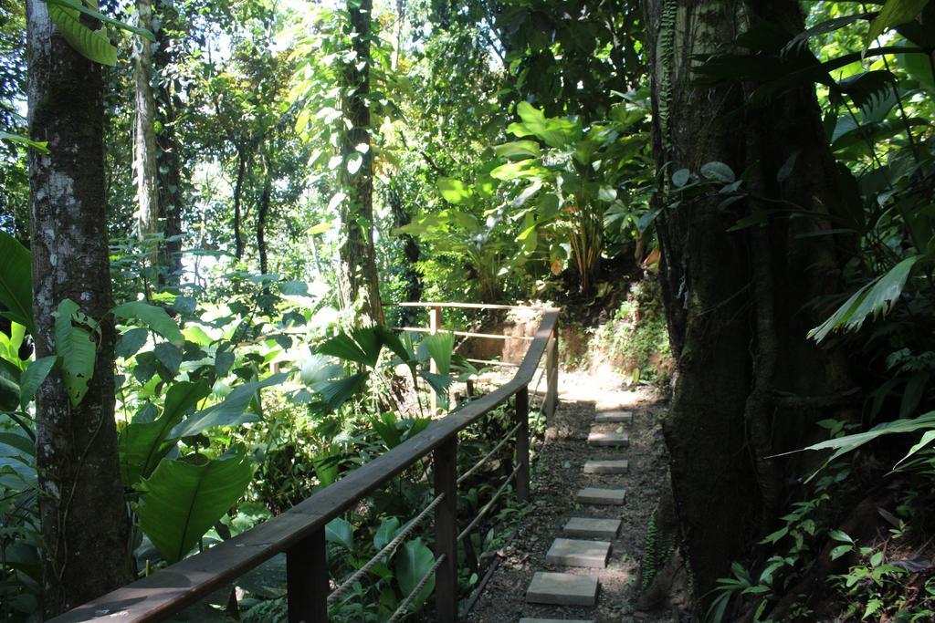 Hotel Red Frog Island Bocas del Toro